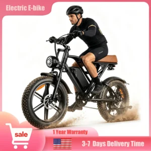 20" Fat Tire Electric Bike